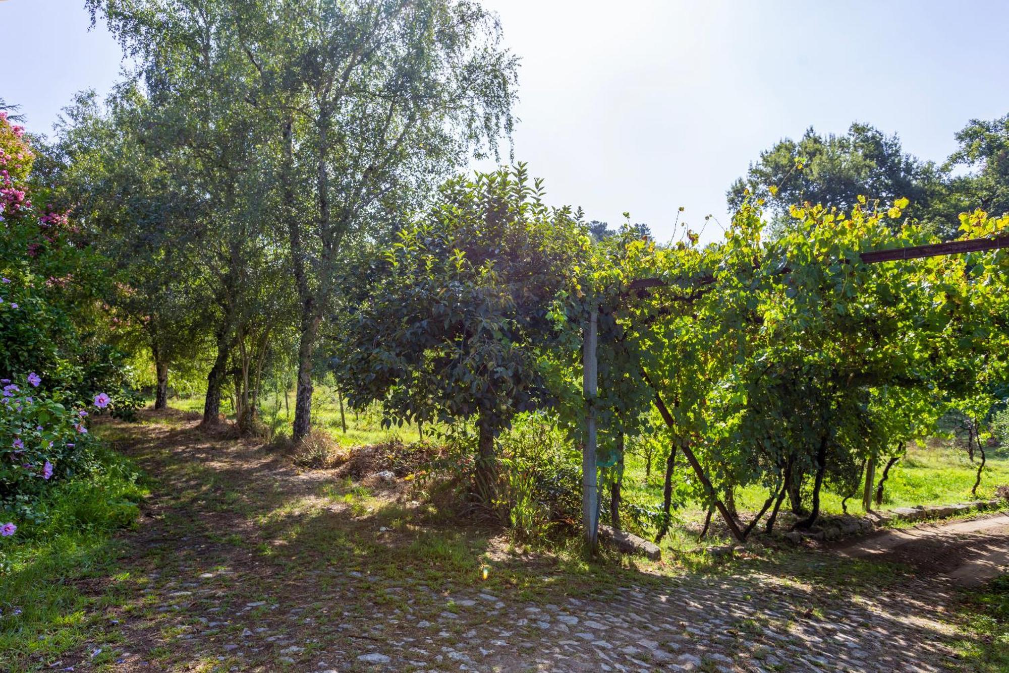Quinta Da Comenda São Pedro do Sul Extérieur photo