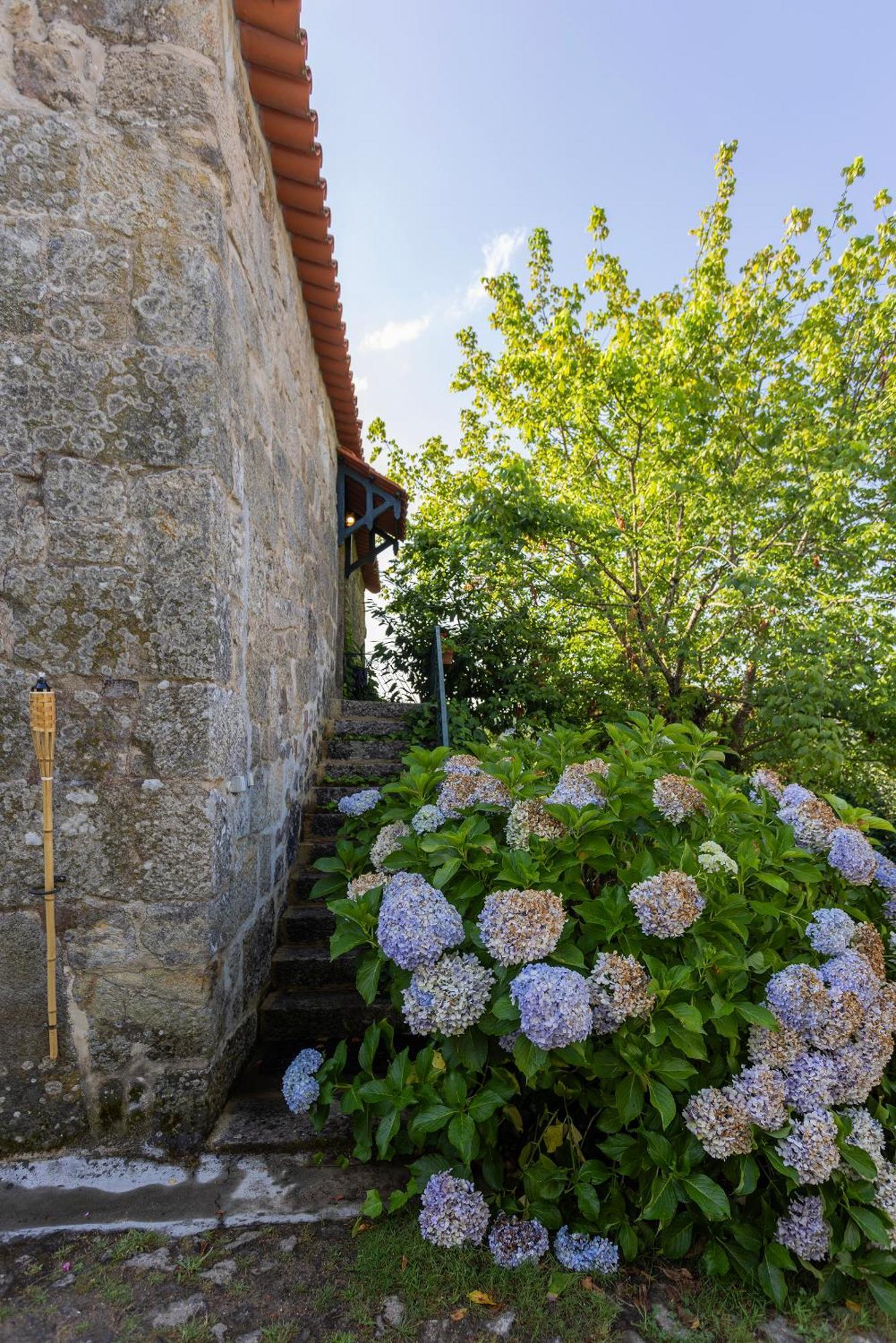 Quinta Da Comenda São Pedro do Sul Extérieur photo